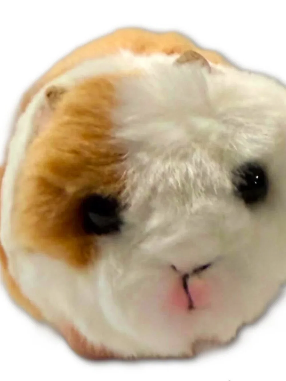 Kingdom Kuddles Plush Mini Hamster Pet Soft Stuffed Animal 5